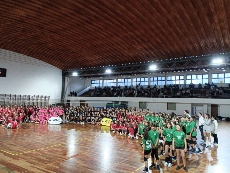 8ºCIRCUITO REGIONAL MINIVOLEIBOL AVL &quot;PROFESSOR ANTÓNIO MARTINS&quot; 23/24