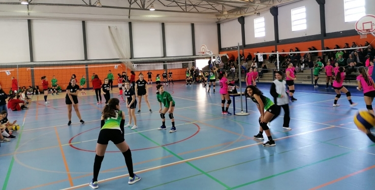 Fim de Todas as Provas Regionais