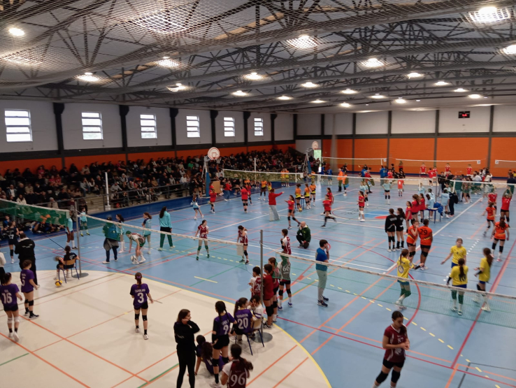 RESULTADOS 6º CIRCUITO REGIONAL MINIVOLEIBOL AVL "PROFESSOR ANTÓNIO MARTINS" 24/25 - ZONA C